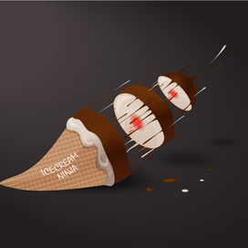 icecream ninja