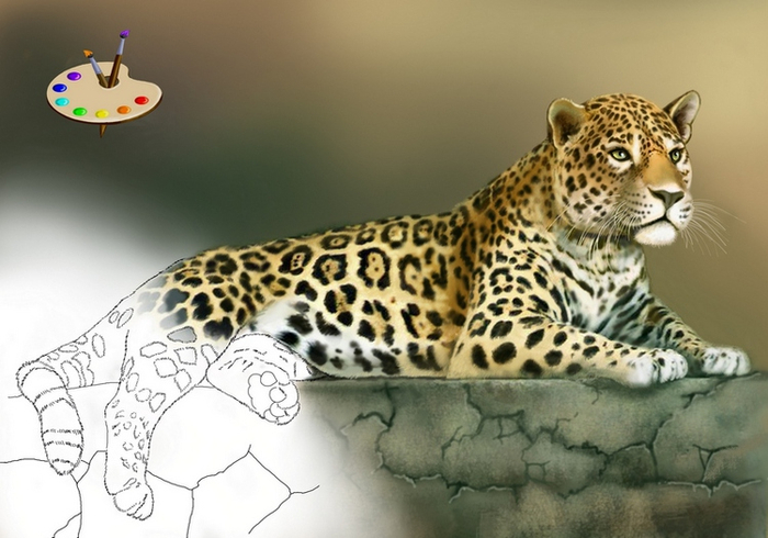 альбом для рисования