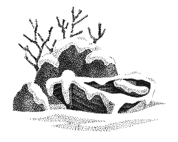 Лодка в снегу