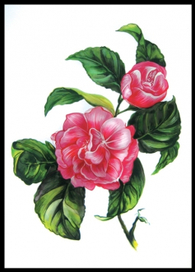 (без названия)