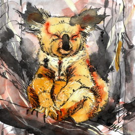 Веселая коала