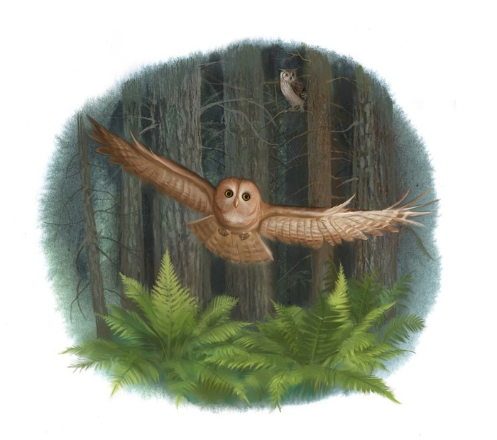 Маленькая концовка к книге