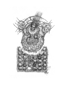 ‎"THE BIRTH AND FORMATION OF.." "РОЖДЕНИЕ И ФОРМИРОВАНИЕ.."