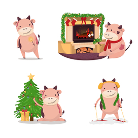 The cow has a new year