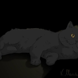 Черное на черном