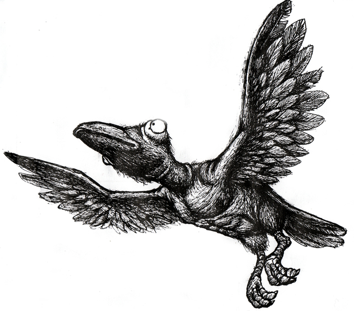 ...голупь MIRA...