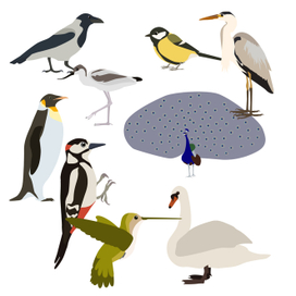 Птицы набор