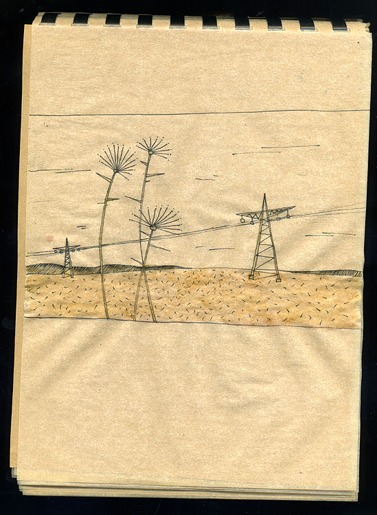 родины просторы