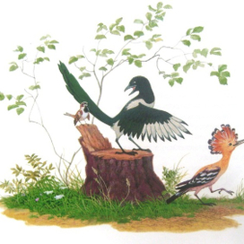 Сказка про удода