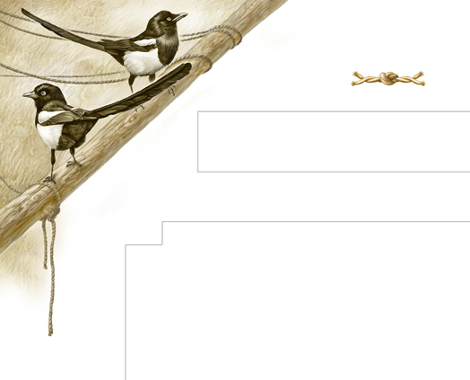 Сказки Слобожанщины. Спуск 2