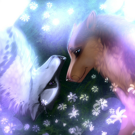 Lovers in the long grass