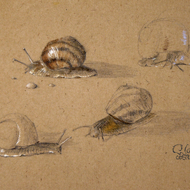 Скользкие казявки