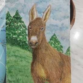 Ослик на природе