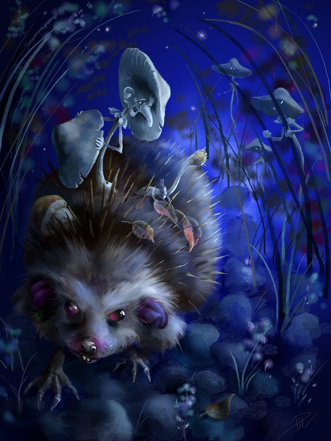 Грибные гонки