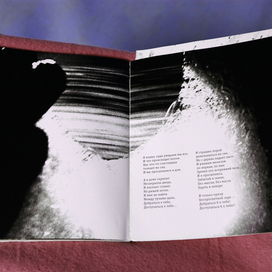 Книга. Сборник стихов. Автор Сольский А.Д._14