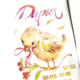 Птичка, метрика