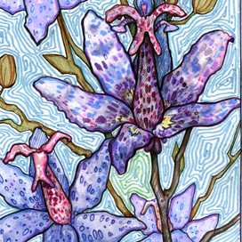 Стилизованные растения