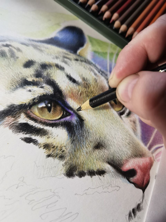 Процесс. Портрет дымчатого леопарда.