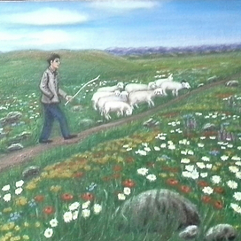мальчик  с  отарой овец