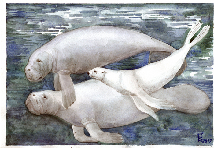 "Белый котик"