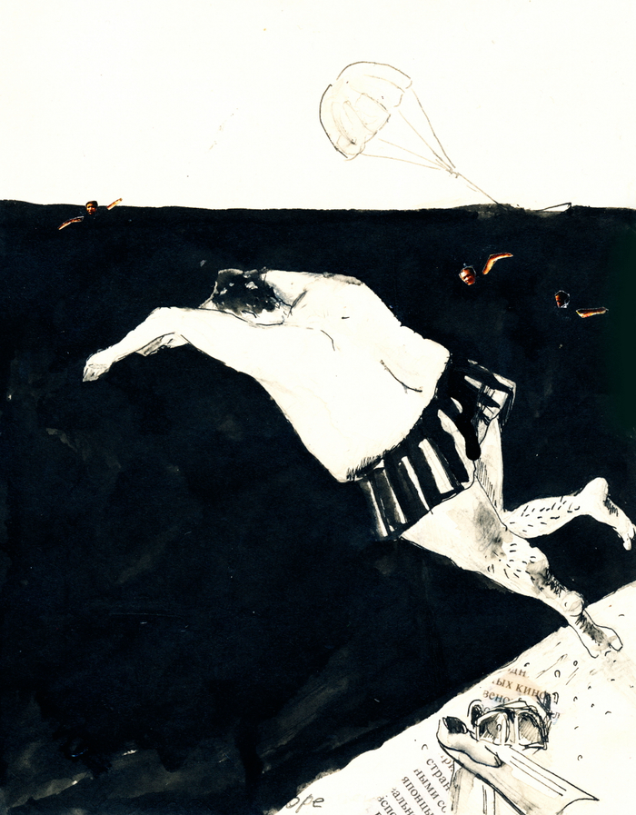 Балтийский тюлень