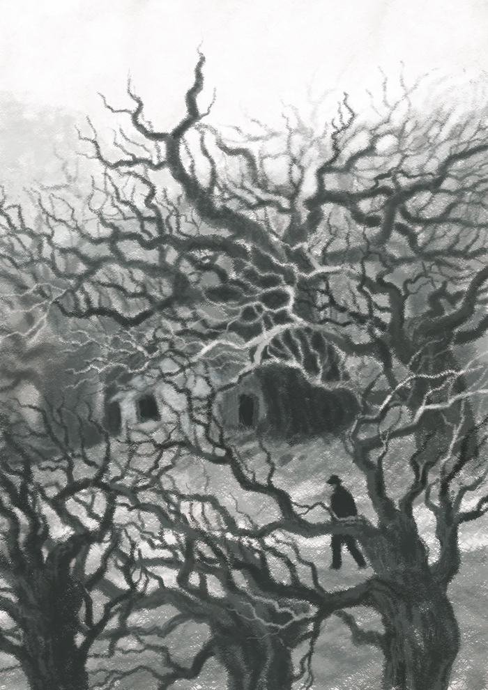 цвет из иных миров