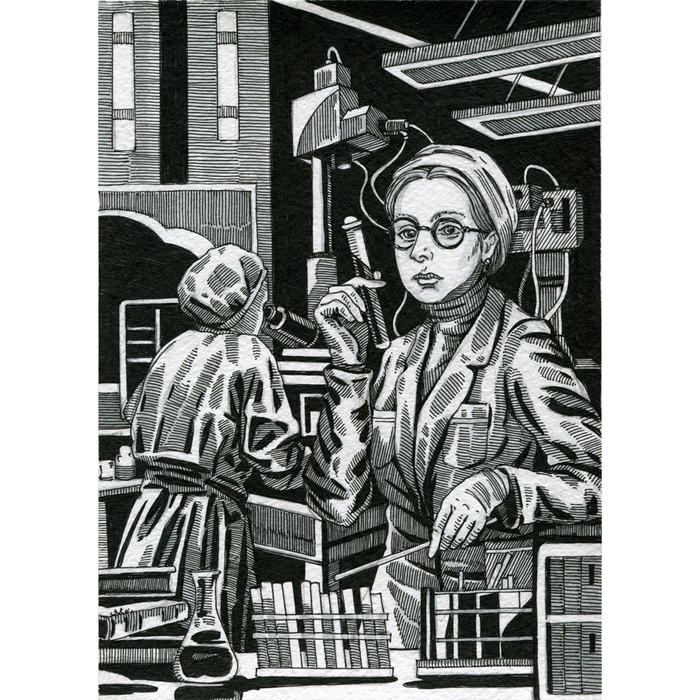 Шестой день творения.