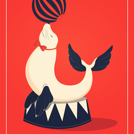 Цирковой тюлень