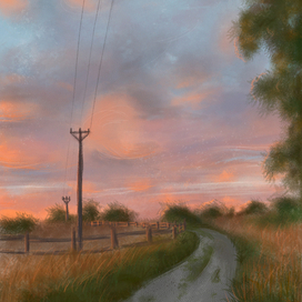 Evening landscape