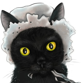 Кот в Чепчике