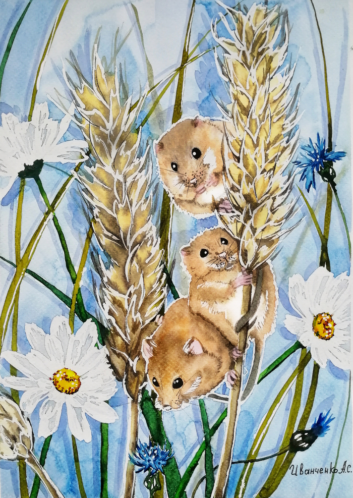 Полевые мышата на колосьях пшеницы