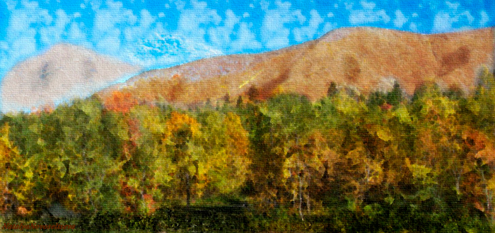 ОСЕННИЙ ЛЕС В ГОРАХ