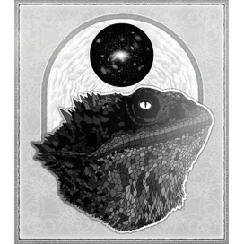 Кауда - бородатая агама-иллюзионист