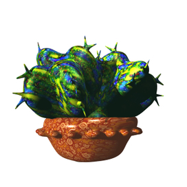 мой любимый кактус