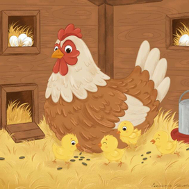 Курочка с цыплятами в курятнике 