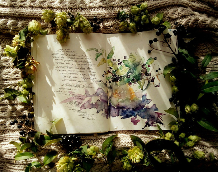 Черноплодная рябина