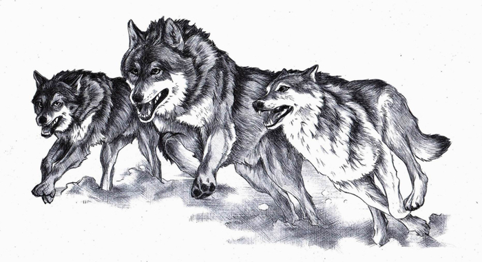 Молниеносный. 1-0