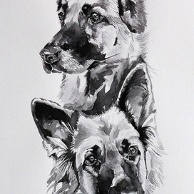 Лидчер Милана и Тиим Булле Хоф Квелле.