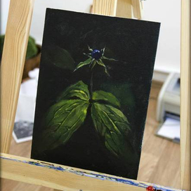 вороний глаз