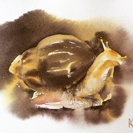 Карамельная улитка