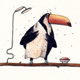 тук-тук Тукан