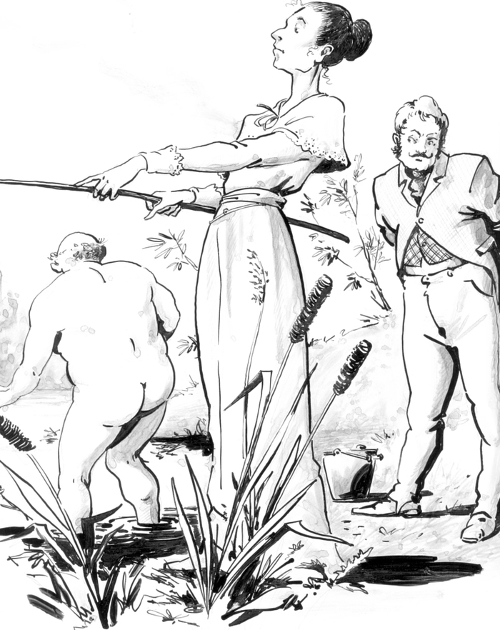 иллюстрация