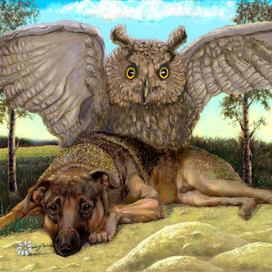 Моя добрая, мудрая собака