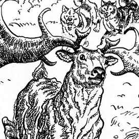 Земля Санникова. 2ч.