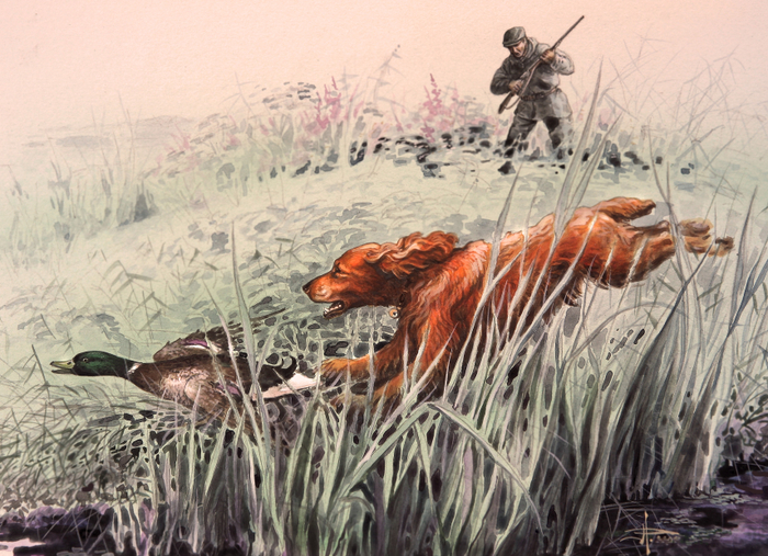 Птичья гончая...