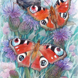 Бабочки (павлиний глаз)