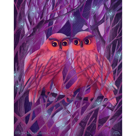 Color in Illustration. Owls