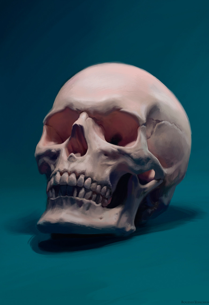 Skull