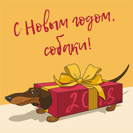 С Новым годом, собаки!