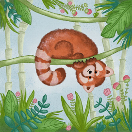 Красная панда